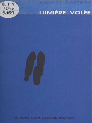 cover image of Lumière volée